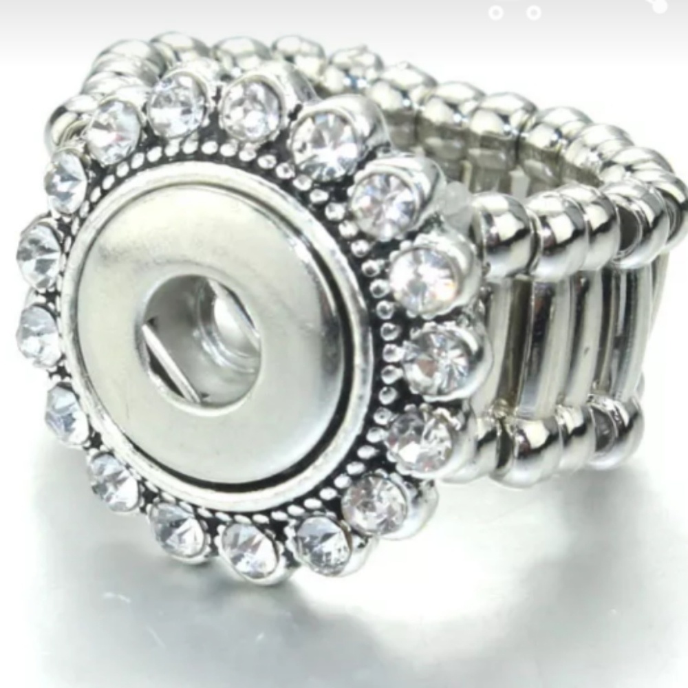 Snap Rings